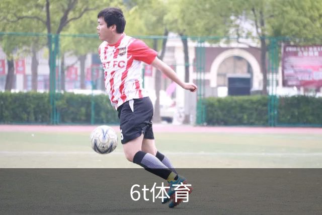 6t体育公司简介展示图